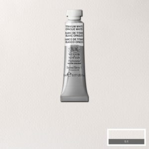 Titanium White is a clean white pigment. It is the most opaque white pigment and is considered a standard strong white colour.