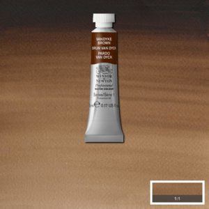 Vandyke Brown is a brown pigment named after the Flemish painter Van Dyke who used it in many of his paintings. It is an earth pigment, and is often used for shading.