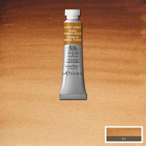 Winsor & Newton Professional Watercolour Burnt Umber