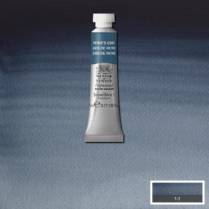 Payne's Gray is a dark blue grey made from a mixture of Ultramarine, Lamp Black and sometimes Crimson.