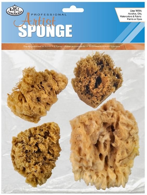 professional artist sponge